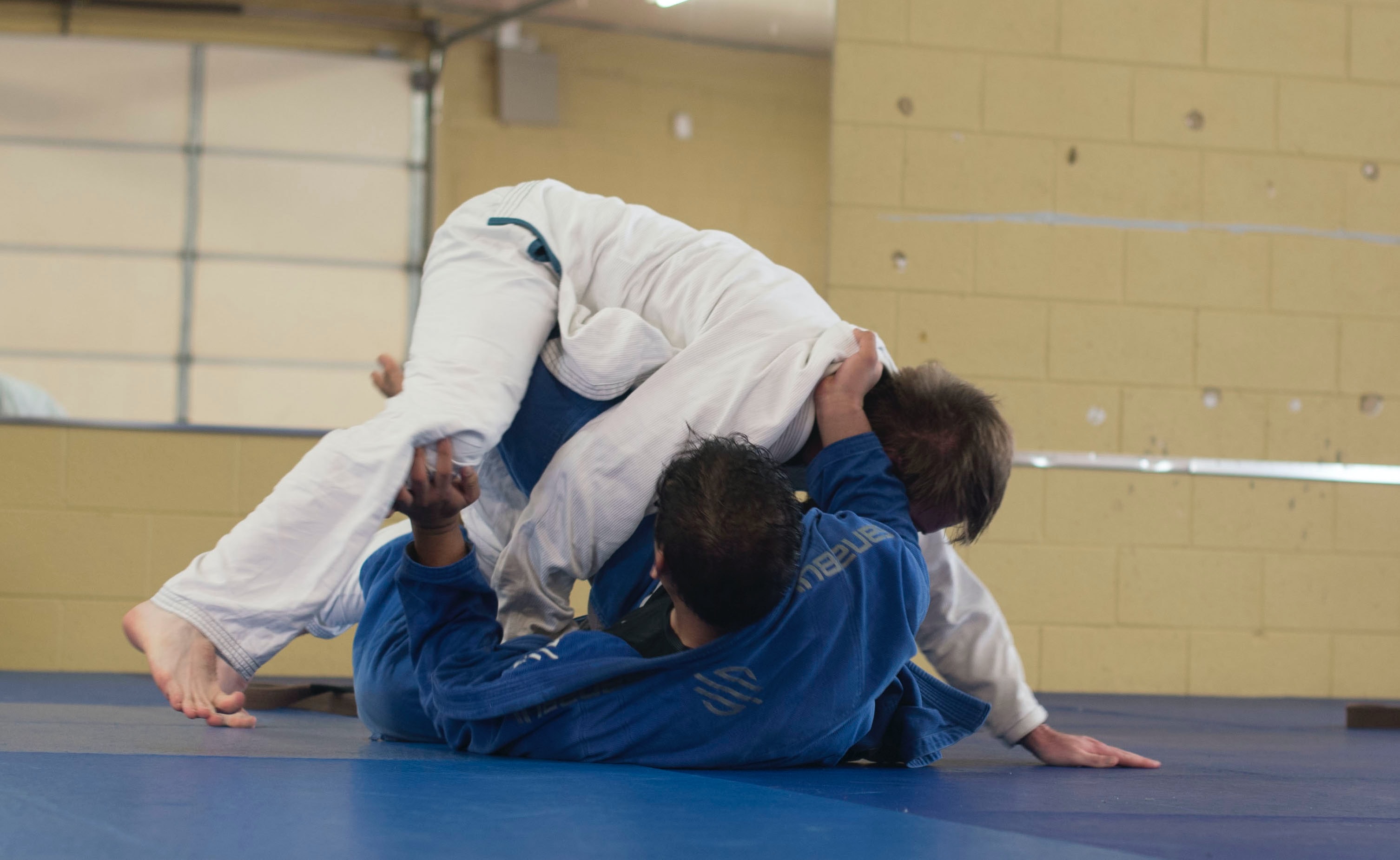 walczący zawodnicy bjj